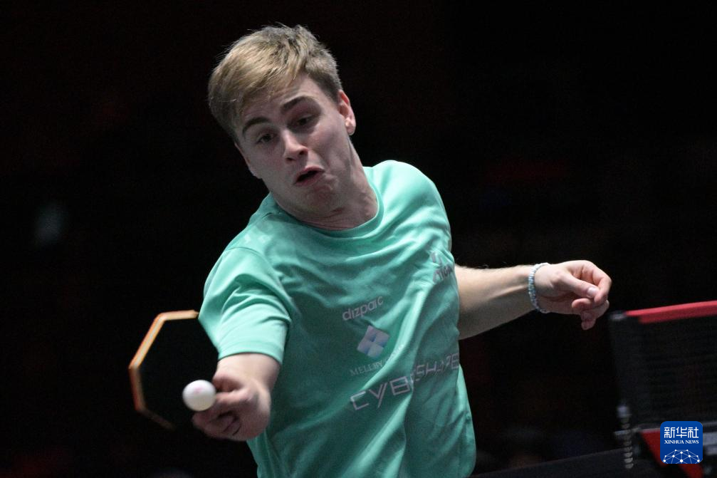 威尔金斯 威尔金斯