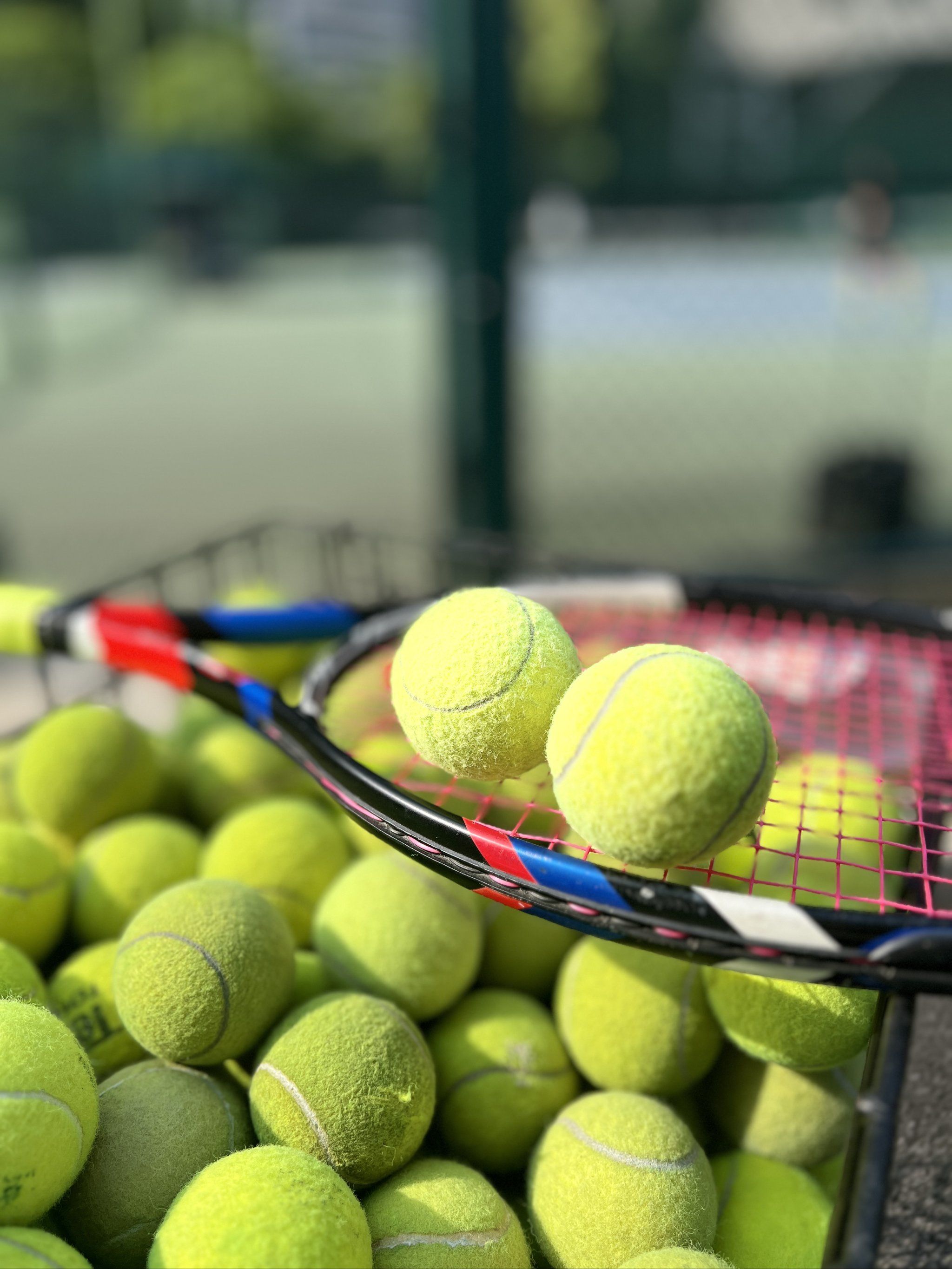 锋当前状态 锋当前状态